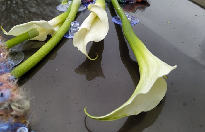 samochód z kwiatami na masce