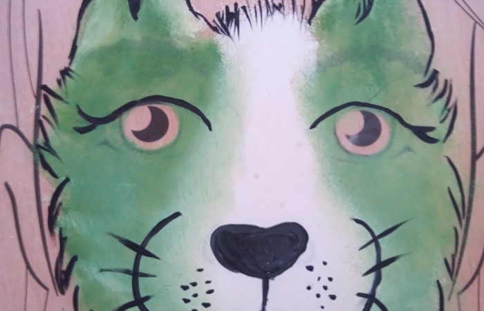 kolorowa twarz na folii