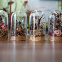 Kwiaty w szklanych tubach z korkiem.