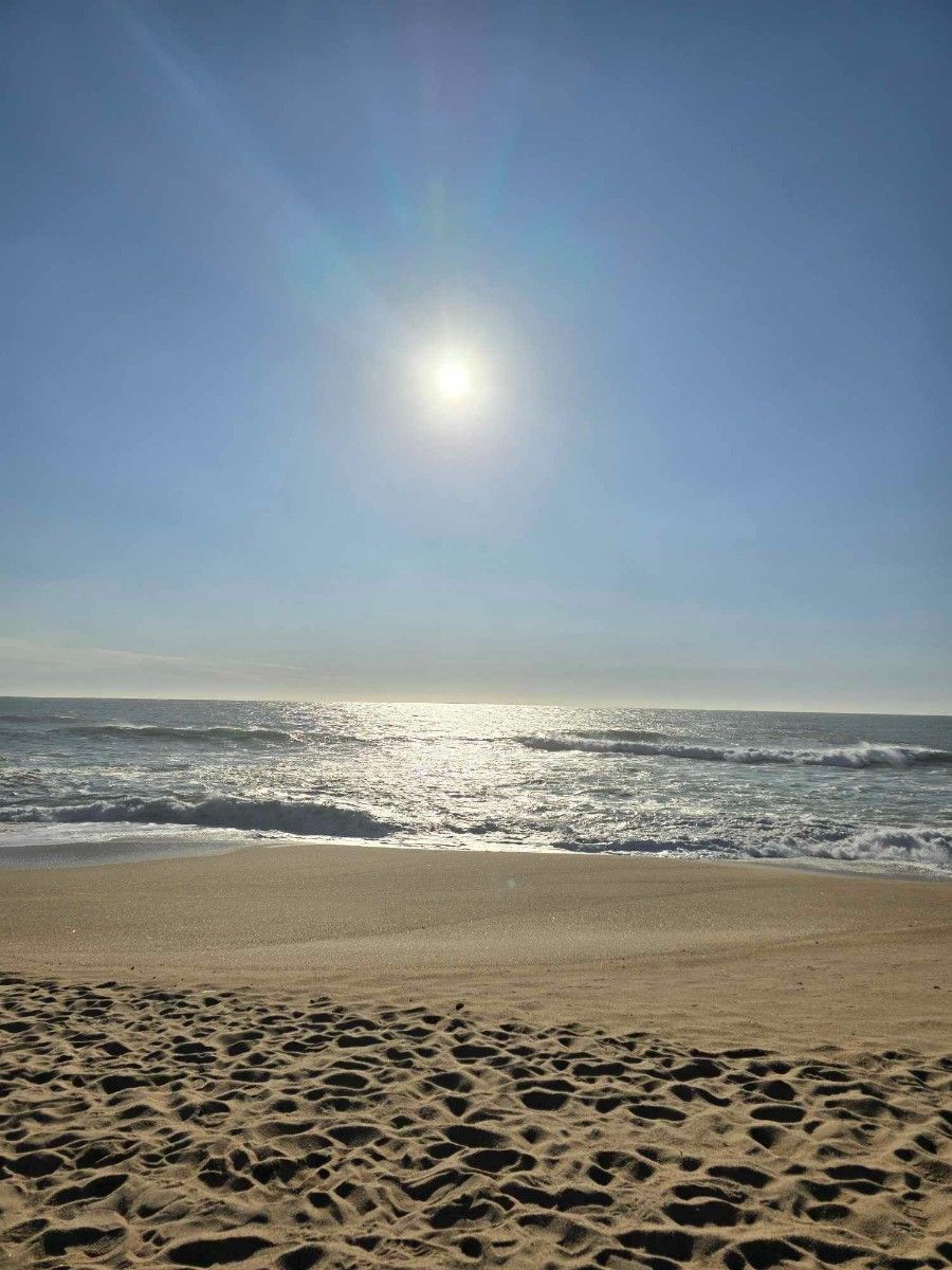 Widok na słoneczną plażę w raz z morzem.